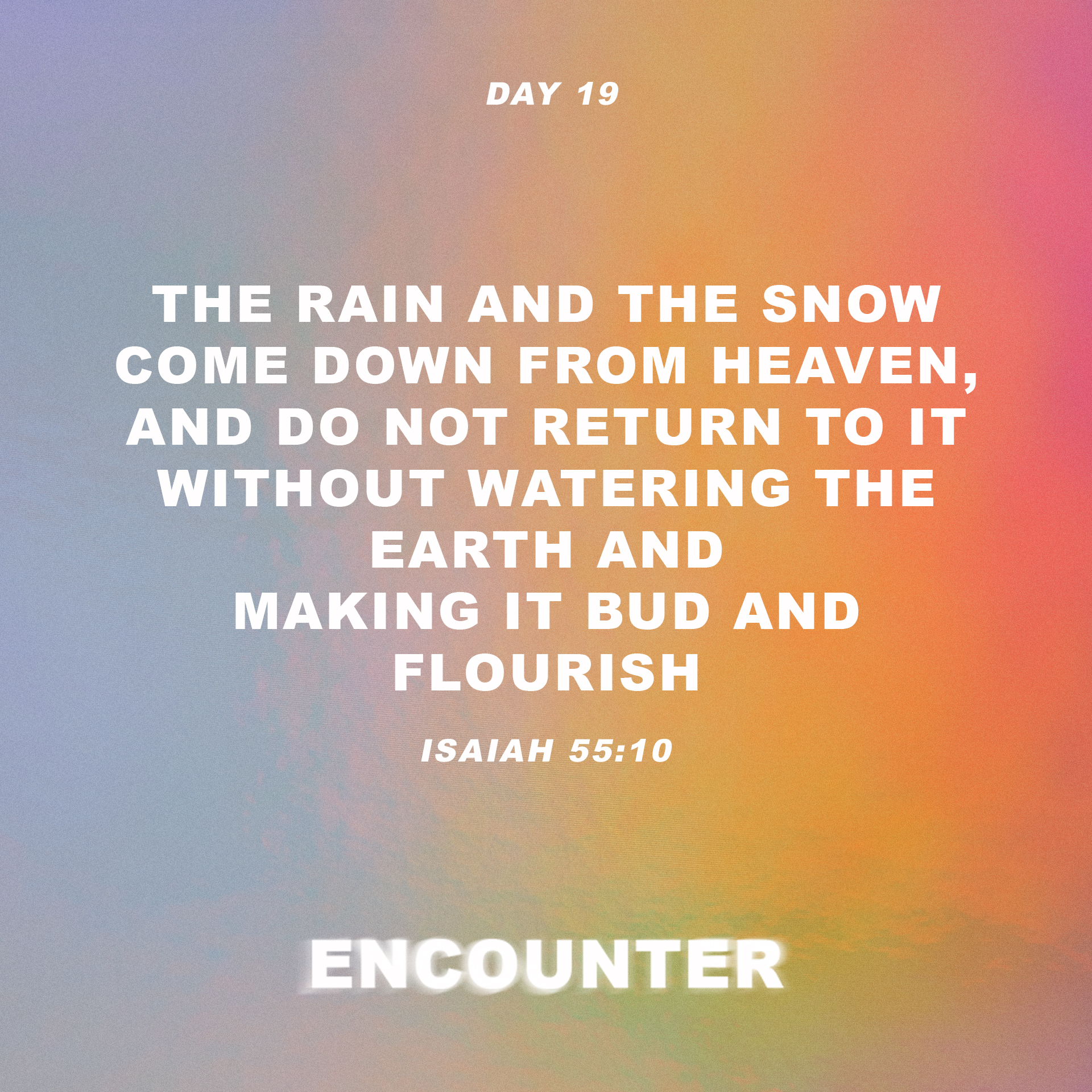 Day 19
