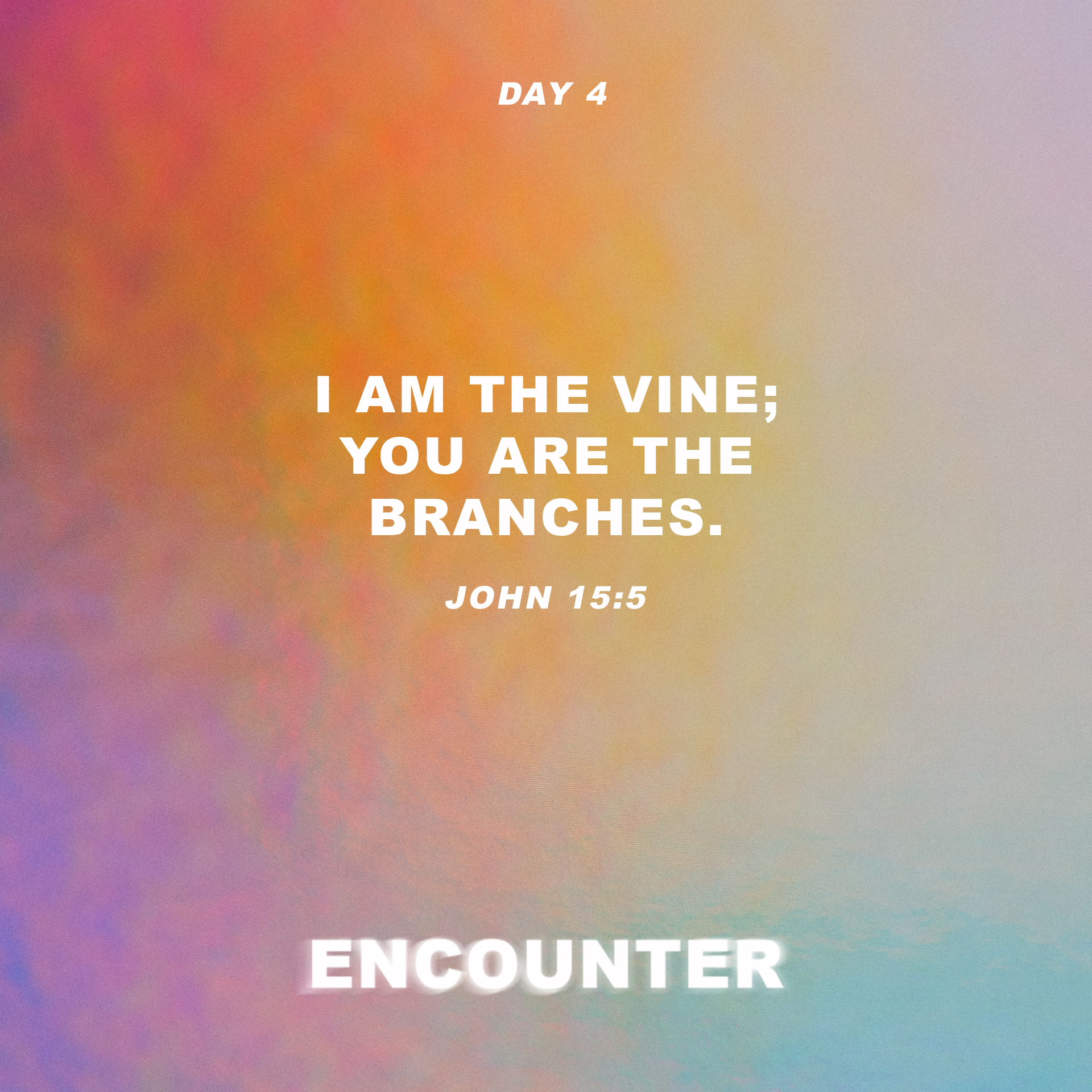 Day 4