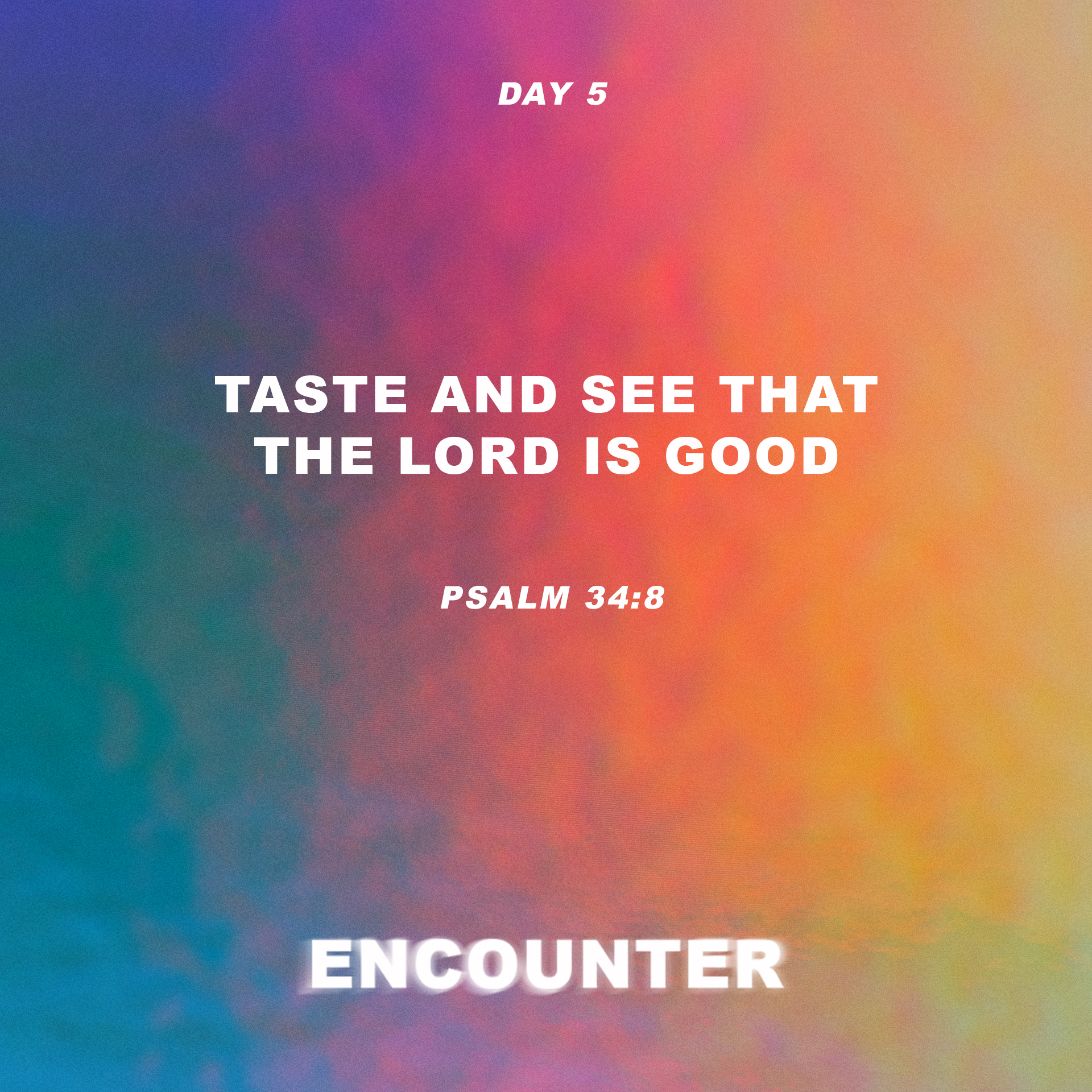 Day 5