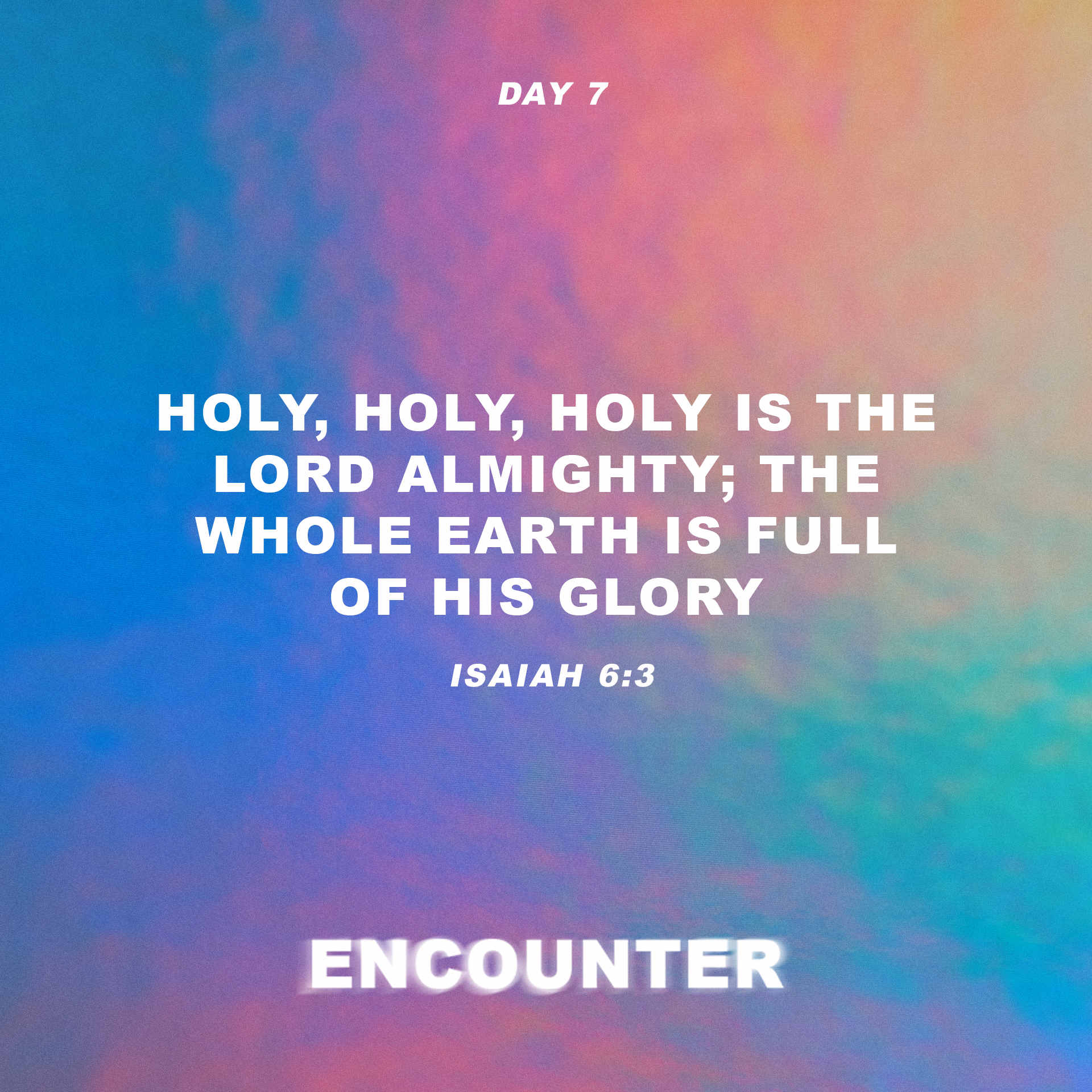 Day 7